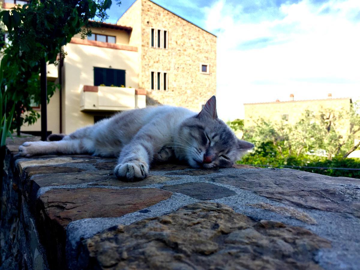 La Compagnia Del Chianti Aparthotel San Donato in Poggio Buitenkant foto